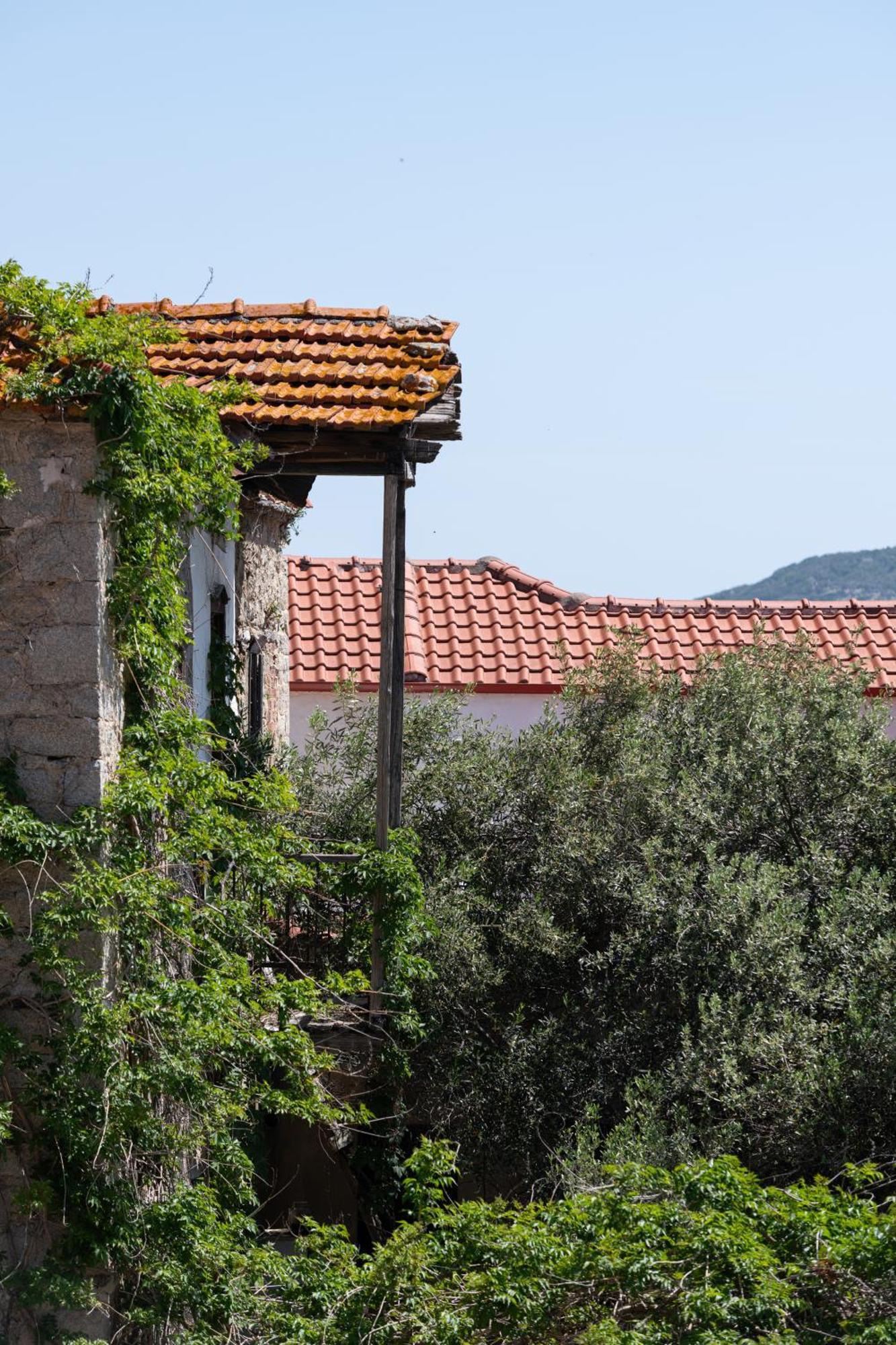 Rodi Houses Sykia Chalkidikis Extérieur photo